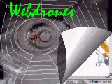 Webdrones