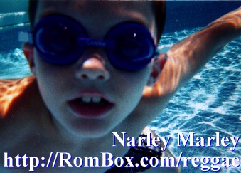 Narley Marley Reggae Mahn